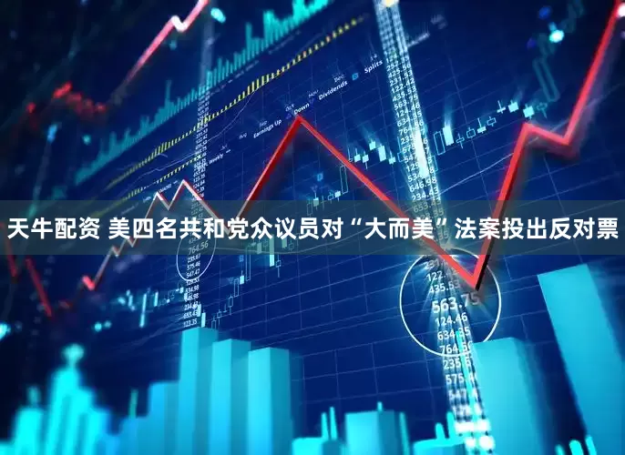 天牛配资 美四名共和党众议员对“大而美”法案投出反对票