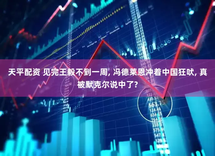 天平配资 见完王毅不到一周, 冯德莱恩冲着中国狂吠, 真被默克尔说中了?