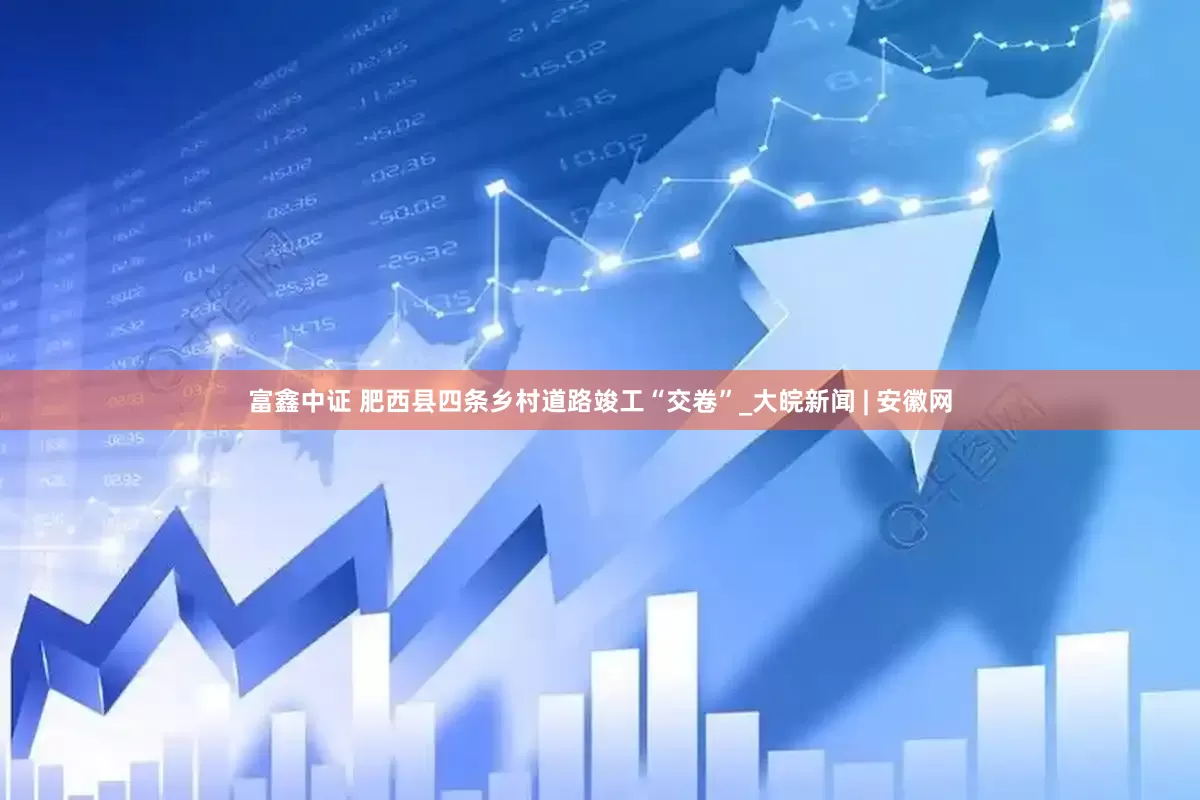 富鑫中证 肥西县四条乡村道路竣工“交卷”_大皖新闻 | 安徽网