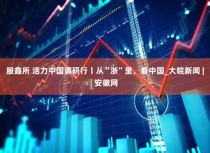 股鑫所 活力中国调研行丨从“浙”里，看中国_大皖新闻 | 安徽网