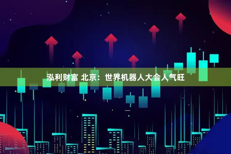泓利财富 北京：世界机器人大会人气旺